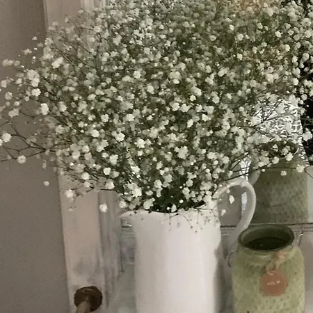 100 Qm Am Heiligen Brunnen *