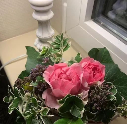 100 Qm Am Heiligen Brunnen * 奎德林堡