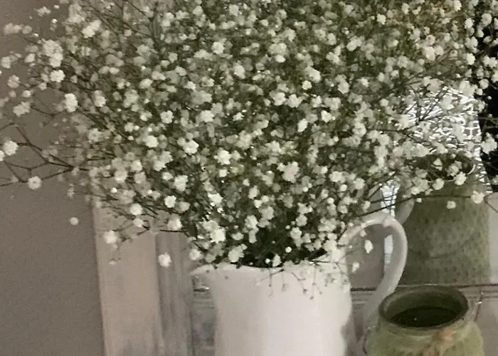 100 Qm Am Heiligen Brunnen *